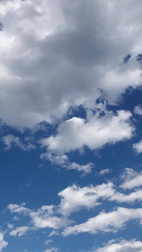第51集